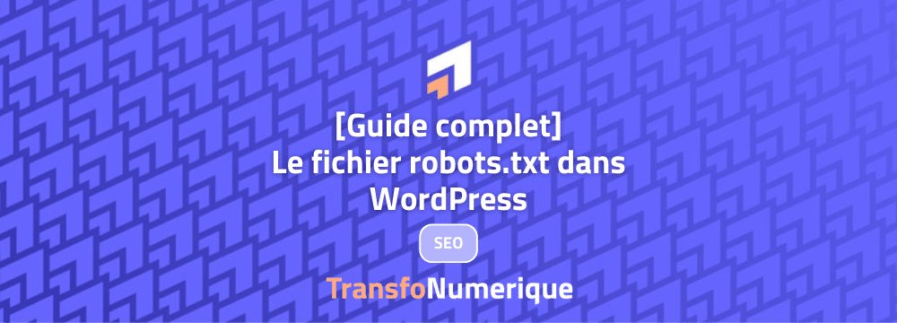 guide robots.txt WordPress Transfonumerique