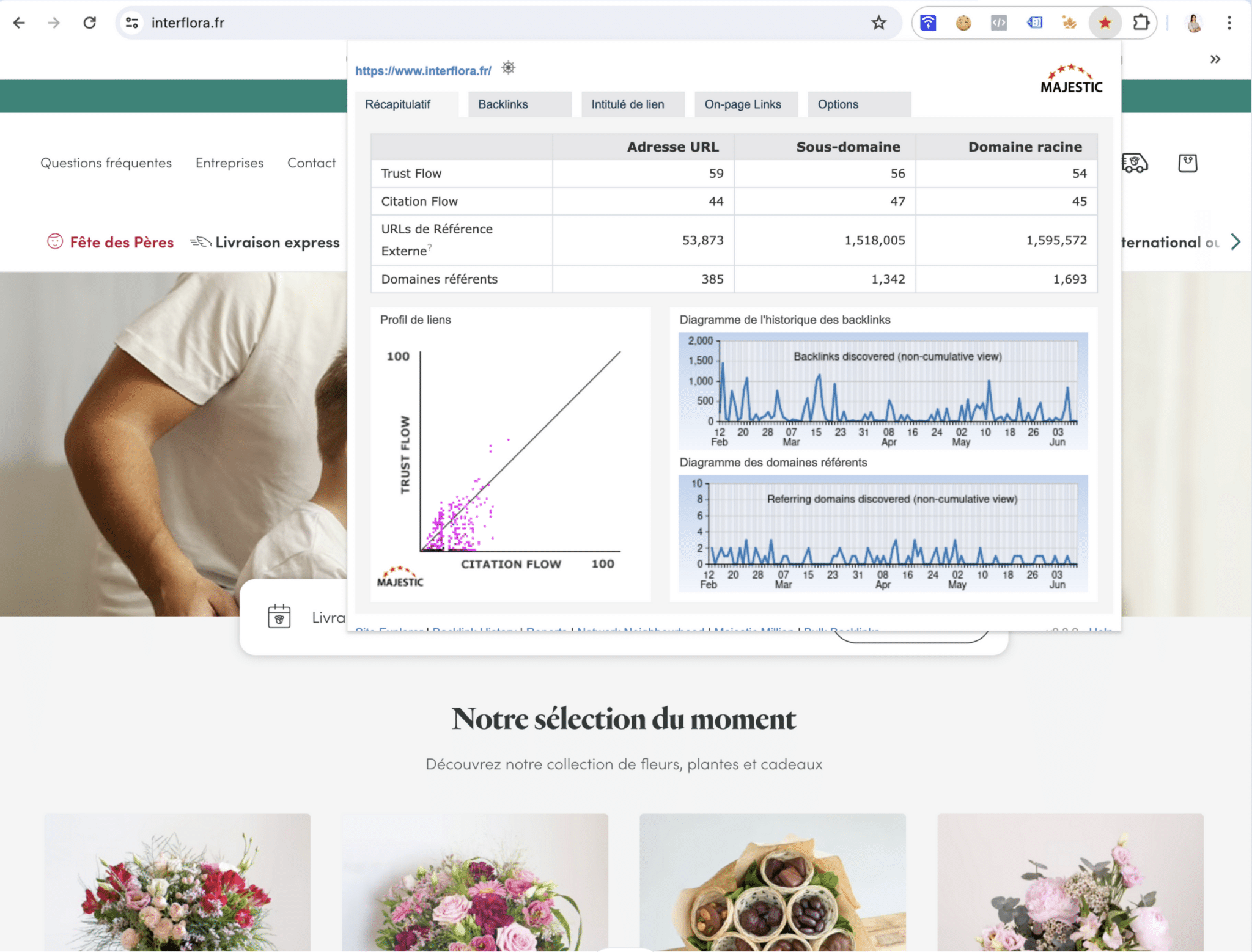 Les 10 meilleurs outils SEO en 2024 - Transfonumerique